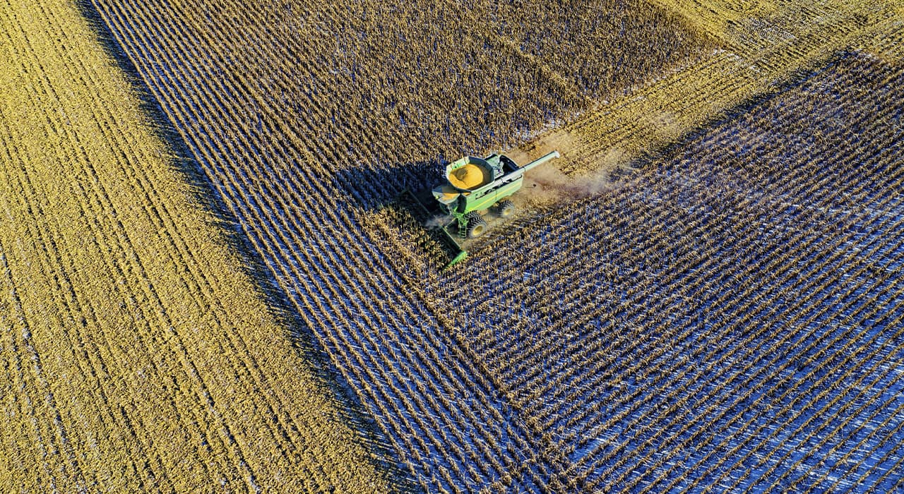 Agriculture
