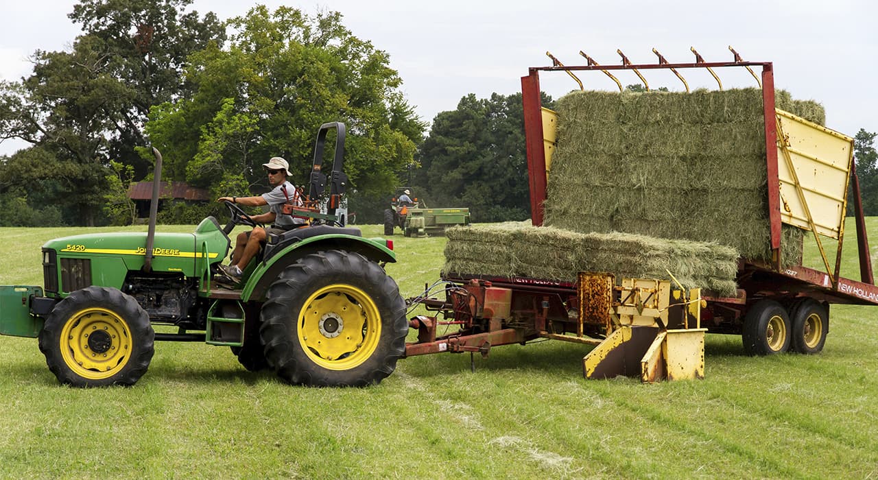 Agriculture