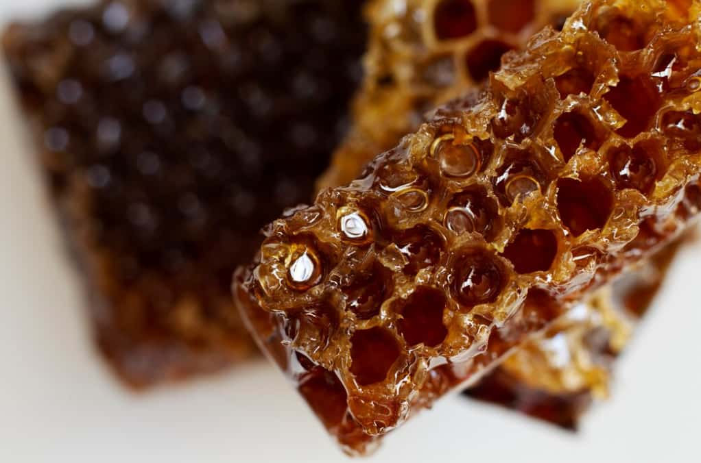 Honeycomb piece with dripping honey against a blurred background