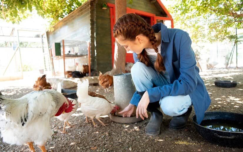 Female Farmer Feeding Chickens