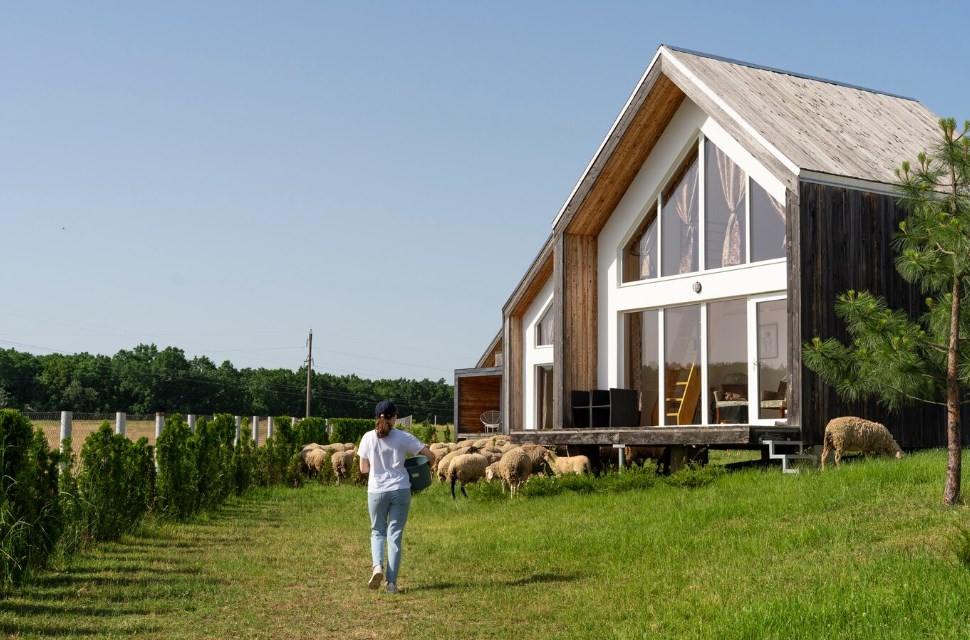 a woman in a cap by a modern farmhouse watching over sheep