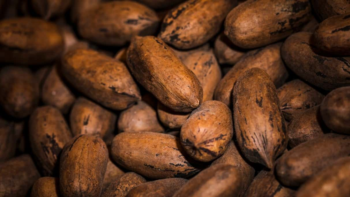 Close-up of numerous brown pecan nuts with textured shells