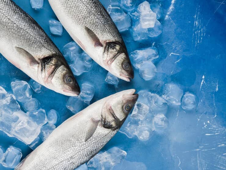 View of Fish with Ice Cubes
